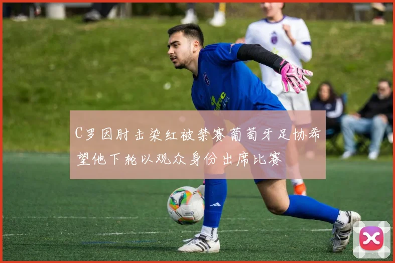 C罗因肘击染红被禁赛葡萄牙足协希望他下轮以观众身份出席比赛