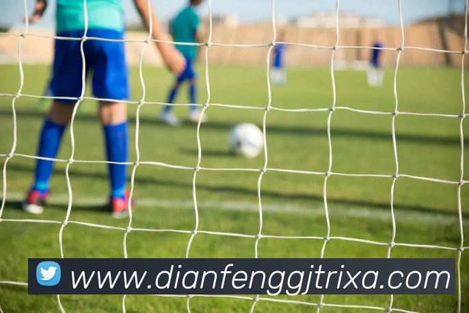 巅峰国际APP 封面图